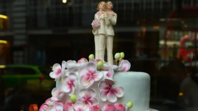 Same sex marriage wedding cake