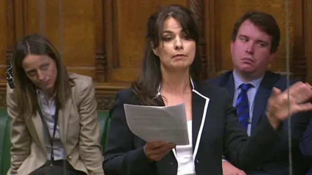 Heidi Allen