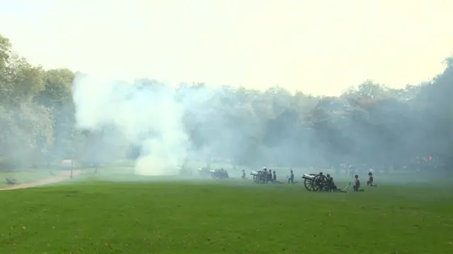 Guns in Green Park