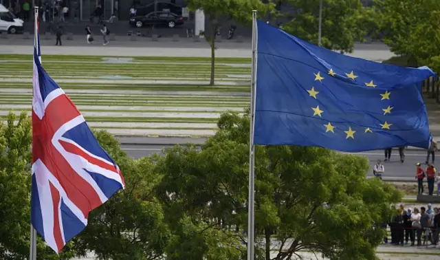 British and EU flags