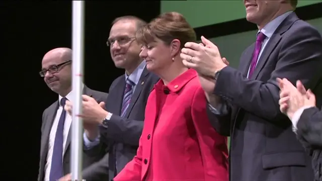 Leanne Wood and other Plaid Cymru officials