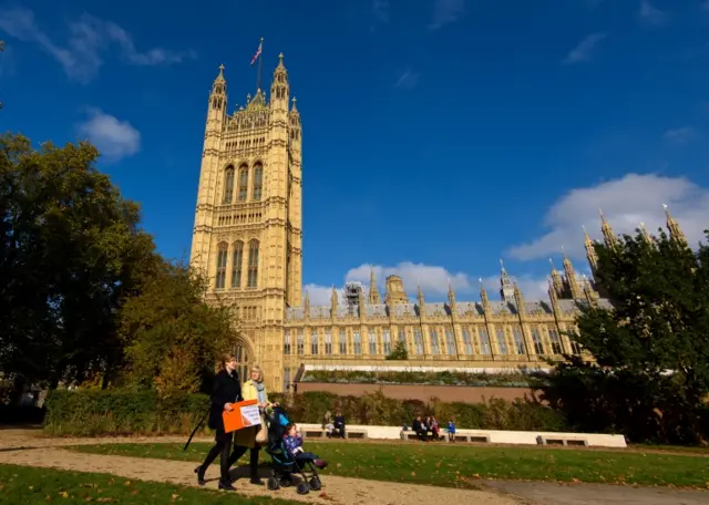 View of the Houses of Parliament