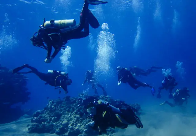 Divers off Sharm el-Sheikh