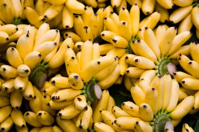 Bananas