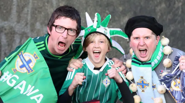 Northern Ireland fans