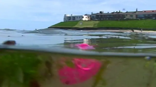 Balloon in water