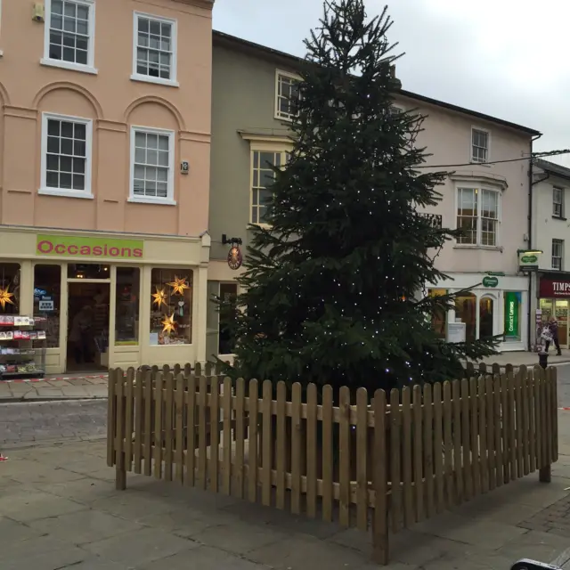 Christmas tree in Braintree