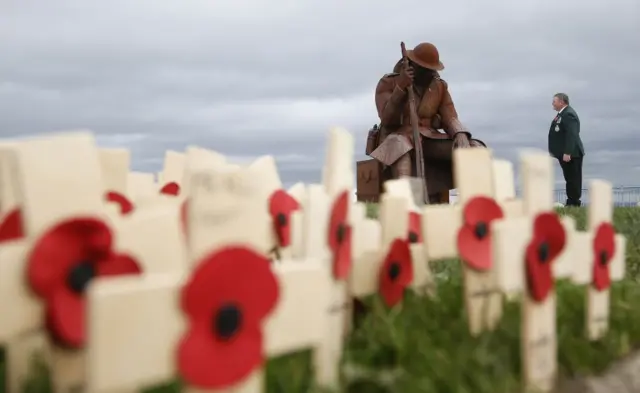 Poppies on Armistice Day