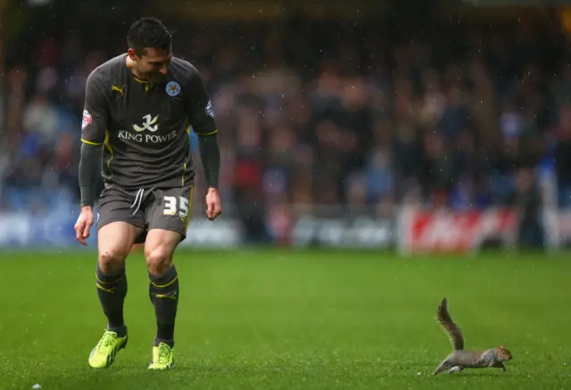 David Nugent and a squirrel