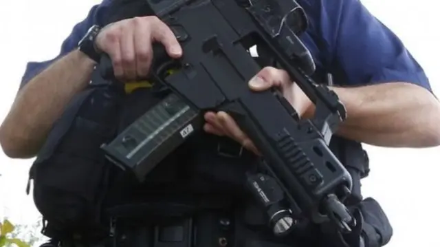 gun police officer