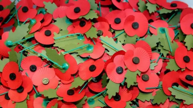 Remembrance Day poppies