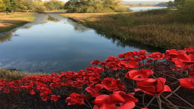 Poppies at Yorkshire Sculpture Park