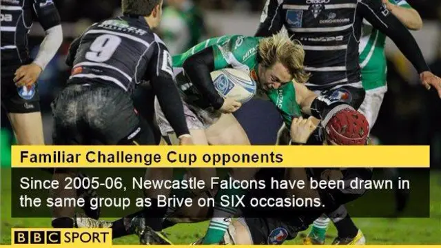 Newcastle Falcons fact graphic