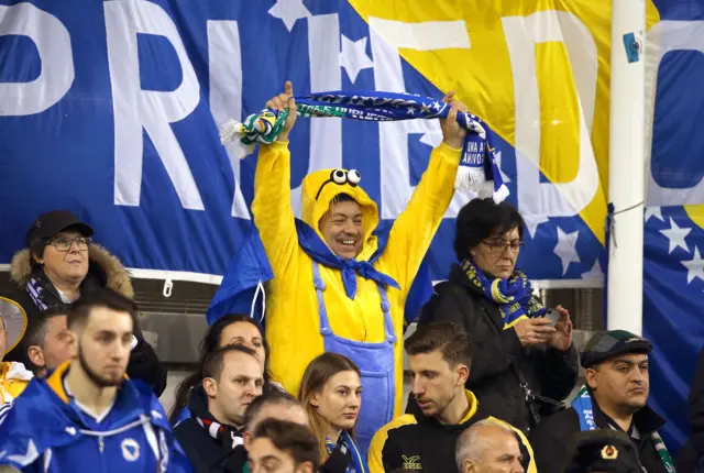 Bosnia fans