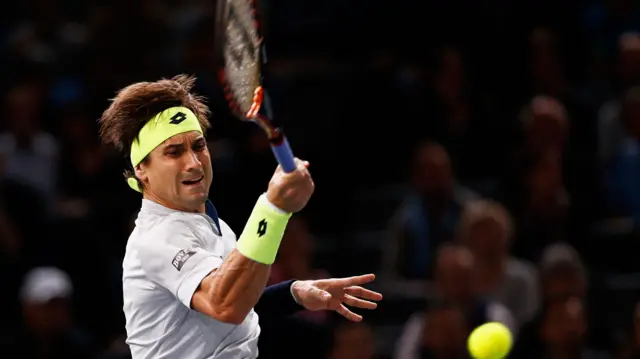 David Ferrer