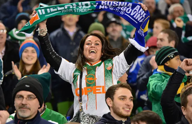 Republic of Ireland supporter