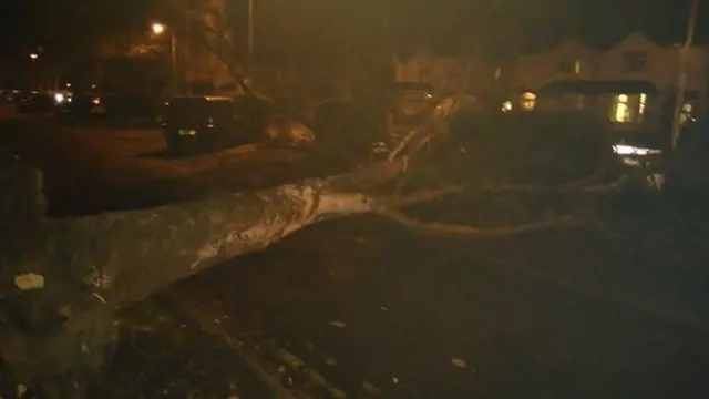 Tree down on Silkmore Lane in Stafford