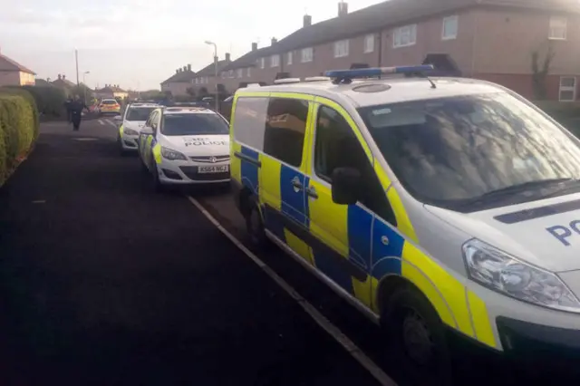 Cannabis found in raid