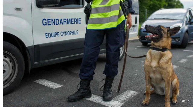 Police dog in Paris