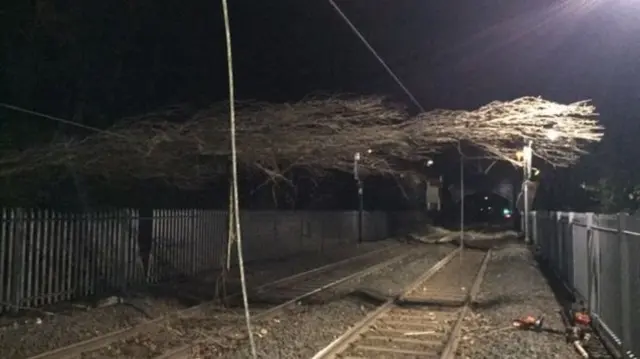 A tree fell through overhead wires on the line between Lichfield and Birmingham