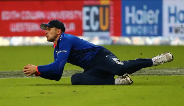 Alex Hales dives for a catch