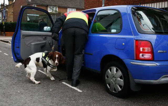 Tottenham Police dog