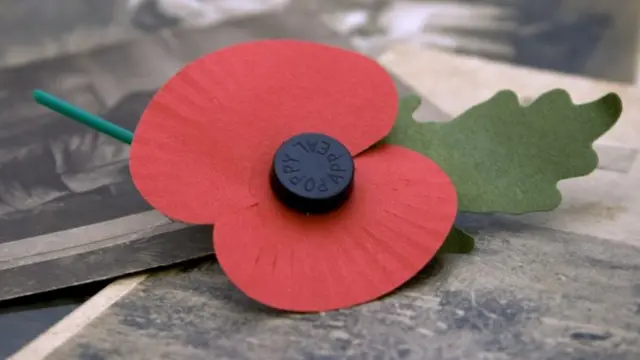 Remembrance poppy