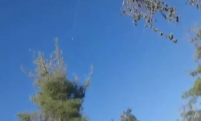 The plane disappears behind trees