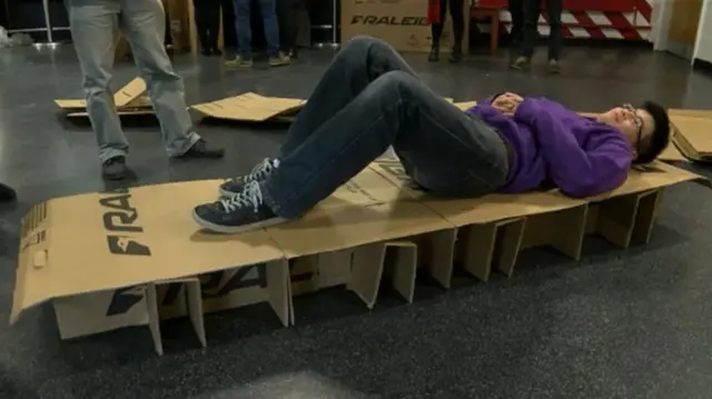 Cardboard bed