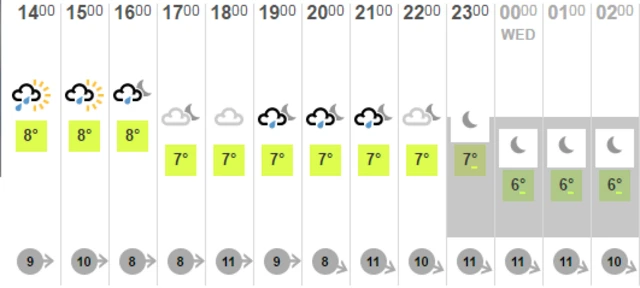 hourly forecast