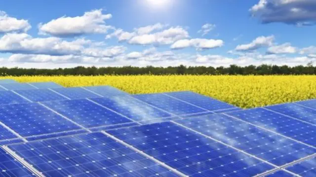 solar farm