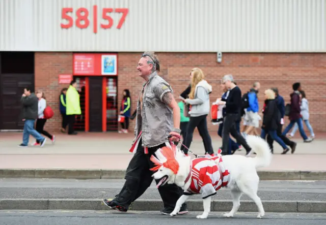 Dog in football kit