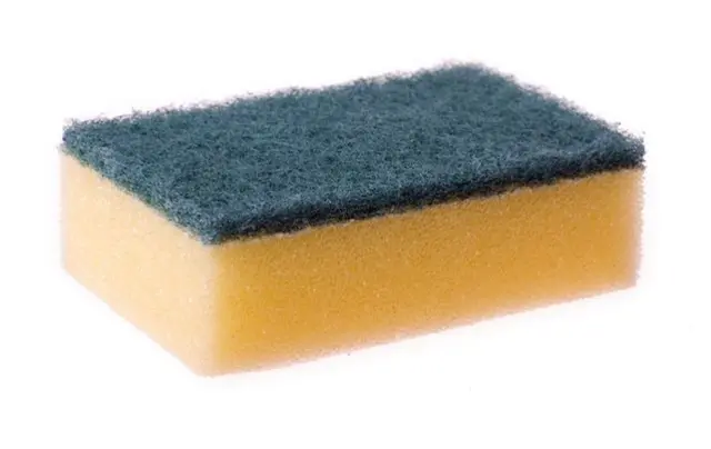 Sponge