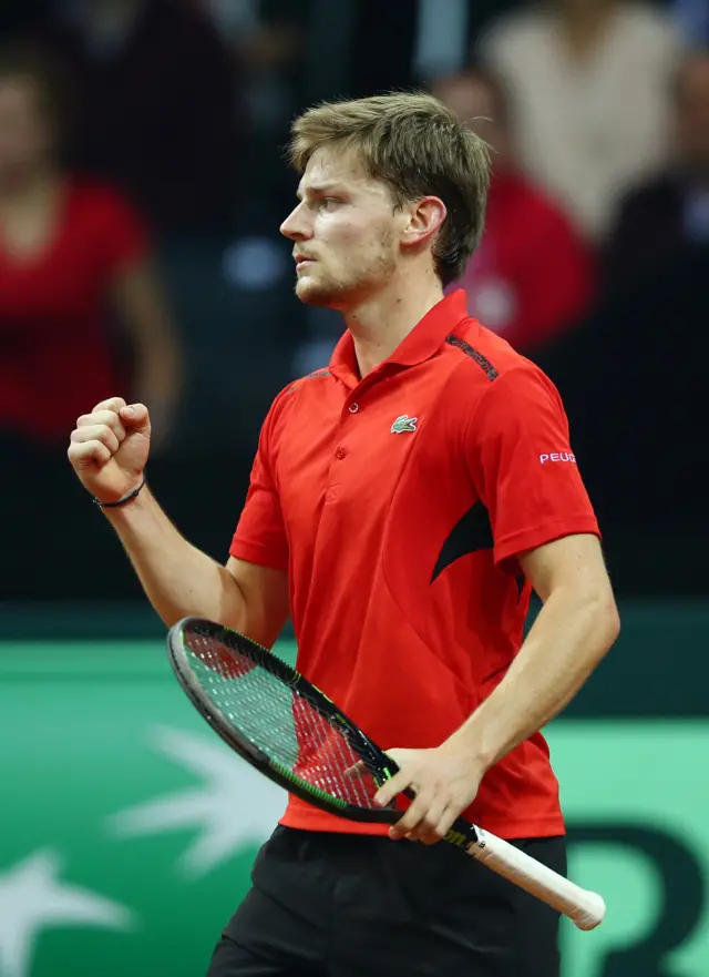 David Goffin