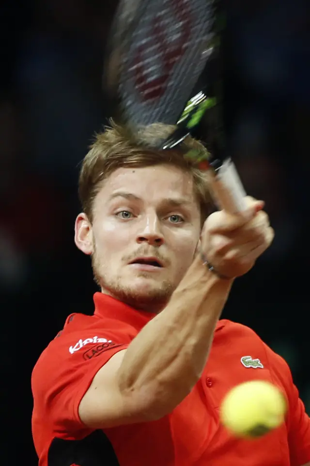 David Goffin