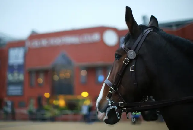 Police horse