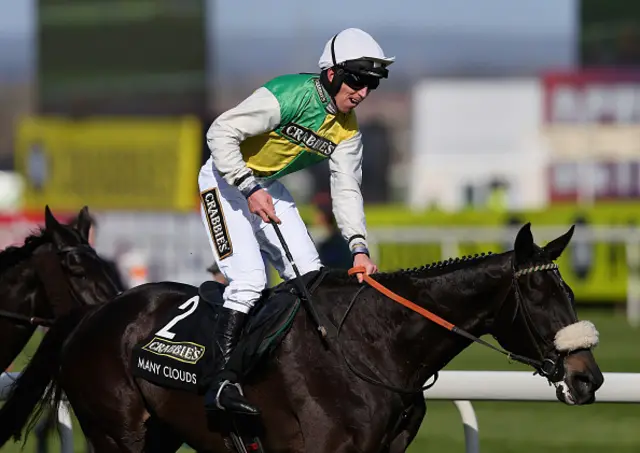 Many Clouds won the 2015 Grand National