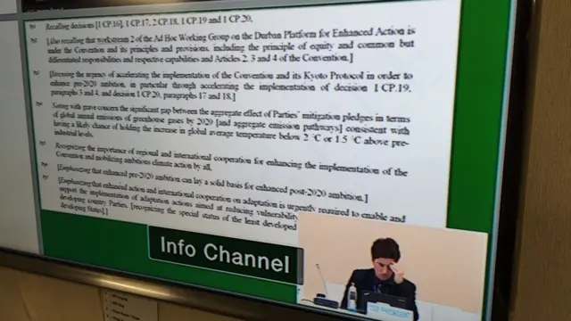 screen showing text of document and a panel member from the relevant session