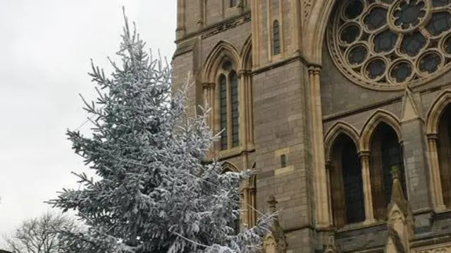 'Snow' covered Christmas tree at Truro Cathedral