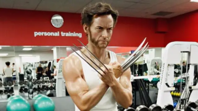 wolverine