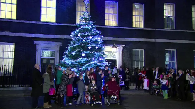 Downing Street Christmas tree