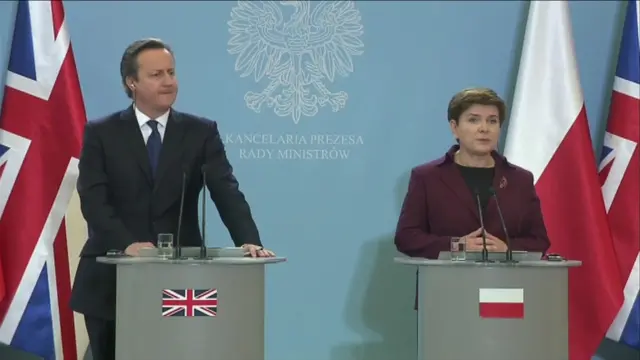 David Cameron and Polish PM at press conference