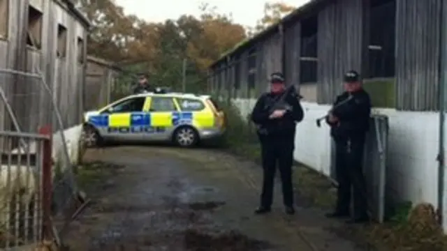 Police officers, and police vehicle, at the pig farm