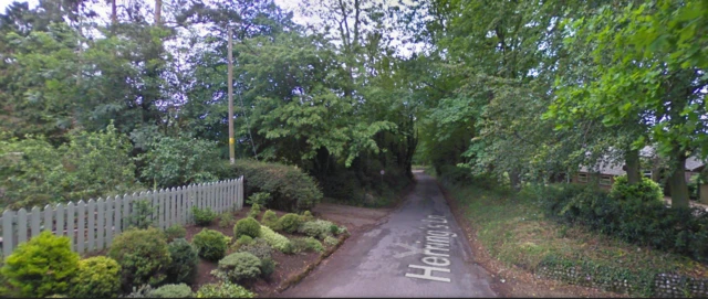 A view of Herring's Lane in Burnham Market, showing a garden fence and a tree-lined road