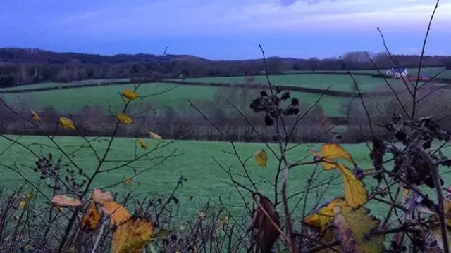 Countryside in Stone