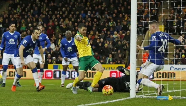 Wes Hoolahan scores for Norwich