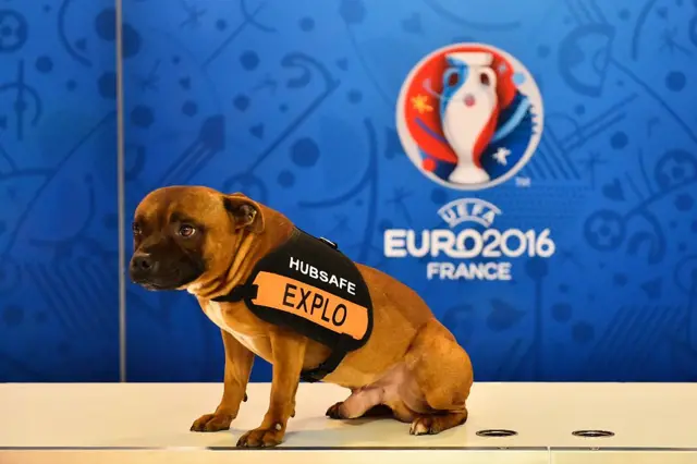 Euro 2016