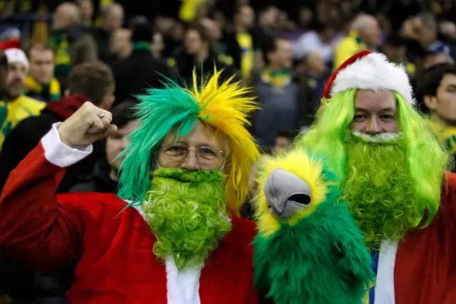 Norwich City fan