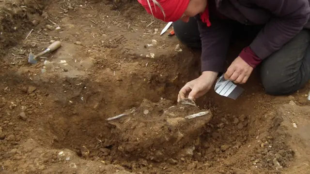 Watlington hoard being excavated