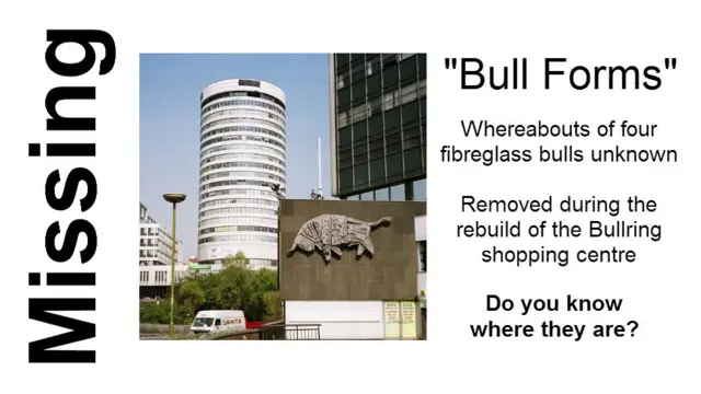 Bull Forms missing poster